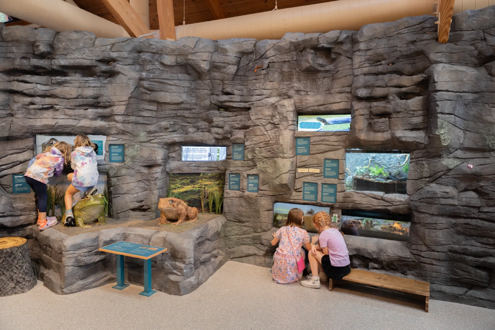 Three Lakes Nature Center – Riggs Ward